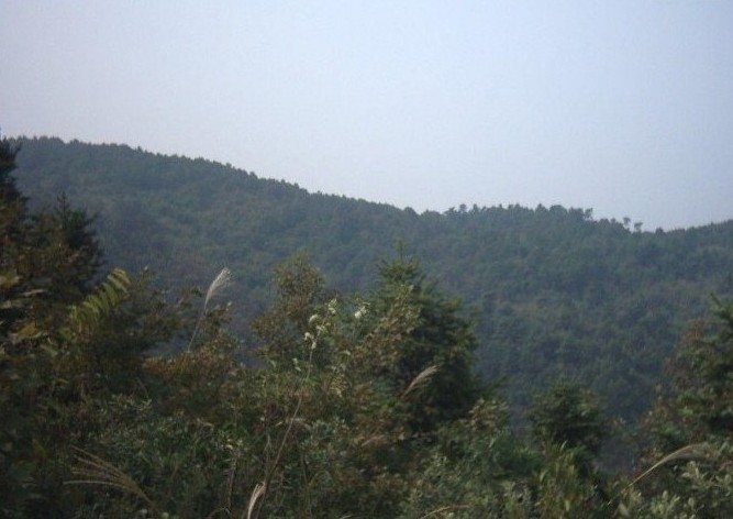 阴宅风水选址,堪舆,布局